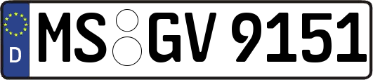 MS-GV9151