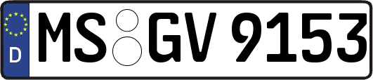 MS-GV9153
