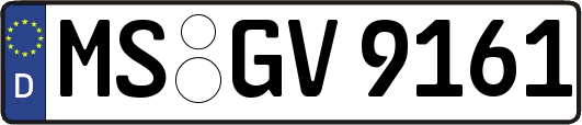 MS-GV9161