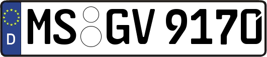 MS-GV9170