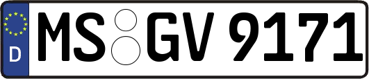 MS-GV9171