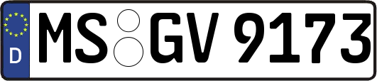 MS-GV9173
