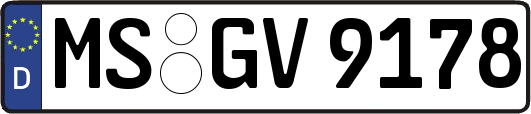 MS-GV9178