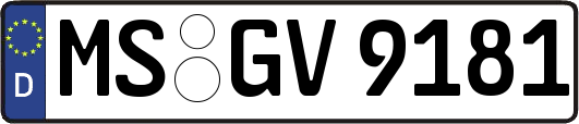 MS-GV9181