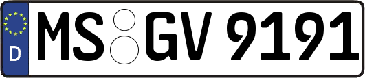 MS-GV9191