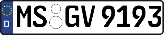 MS-GV9193