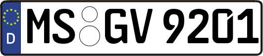 MS-GV9201