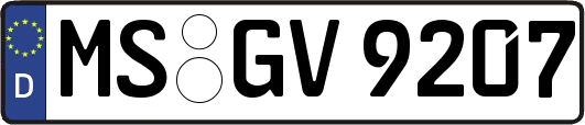 MS-GV9207