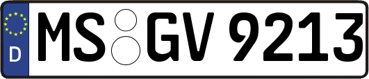 MS-GV9213