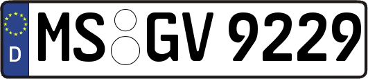 MS-GV9229