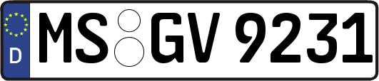 MS-GV9231