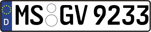 MS-GV9233