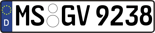 MS-GV9238