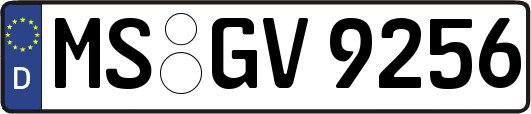 MS-GV9256