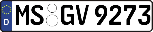 MS-GV9273