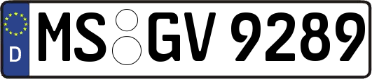 MS-GV9289