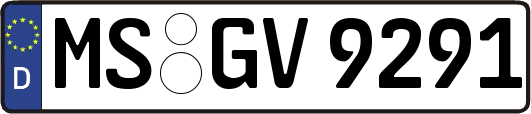 MS-GV9291
