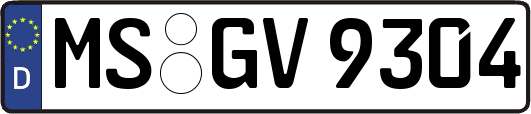 MS-GV9304