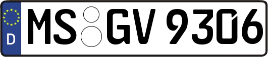 MS-GV9306