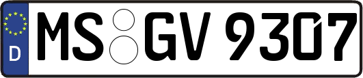 MS-GV9307