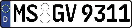 MS-GV9311