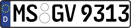 MS-GV9313