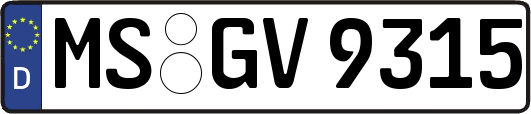 MS-GV9315