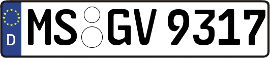 MS-GV9317