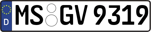 MS-GV9319