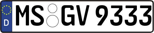 MS-GV9333