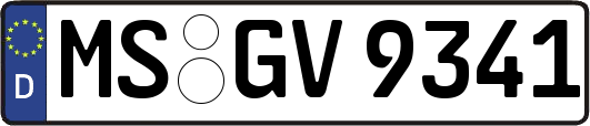MS-GV9341
