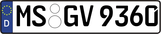 MS-GV9360