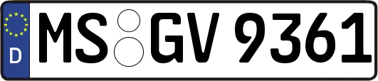 MS-GV9361
