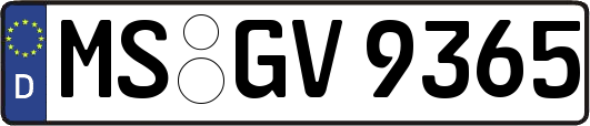 MS-GV9365