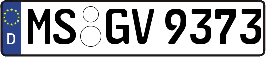 MS-GV9373