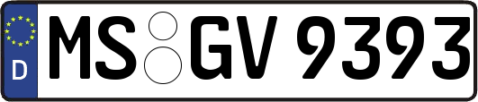 MS-GV9393