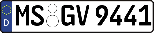 MS-GV9441