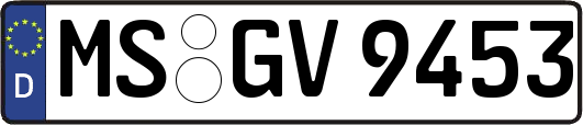 MS-GV9453
