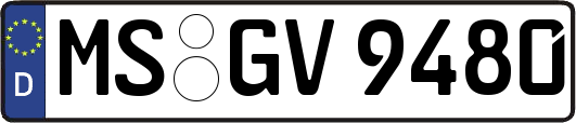 MS-GV9480