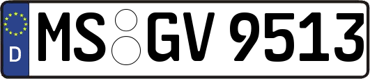 MS-GV9513