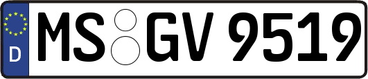 MS-GV9519