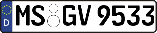 MS-GV9533
