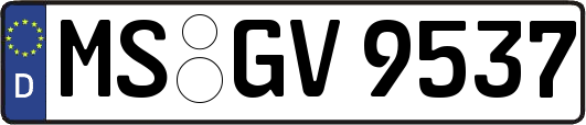 MS-GV9537