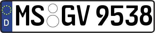 MS-GV9538