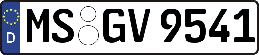 MS-GV9541