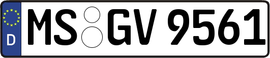 MS-GV9561