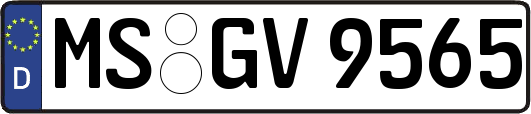 MS-GV9565