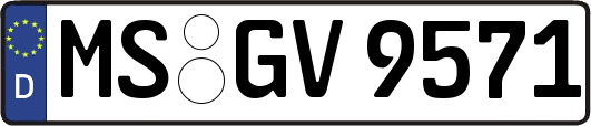 MS-GV9571