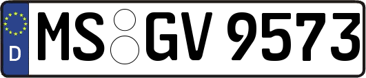 MS-GV9573