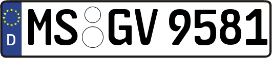 MS-GV9581
